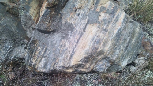 Гигантские зелёные валуны для ландшафтного дизайна весом более 5 тонн купить в Армавире