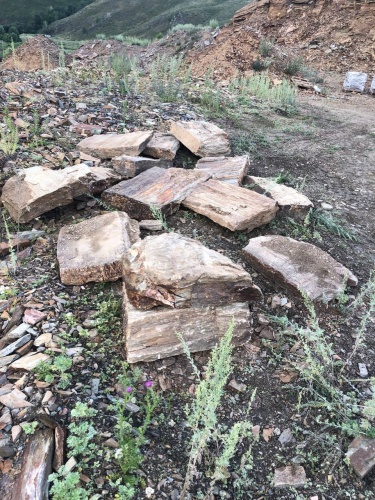 Плитняк кора дерева 50-100мм для пошаговых дорожек купить в Армавире